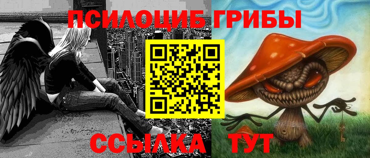 Елабуга  Псилоцибиновые грибы Psilocybe  продажа наркотиков  Вход с VPN 